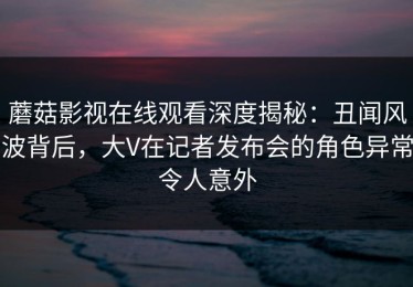 蘑菇影视在线观看深度揭秘：丑闻风波背后，大V在记者发布会的角色异常令人意外
