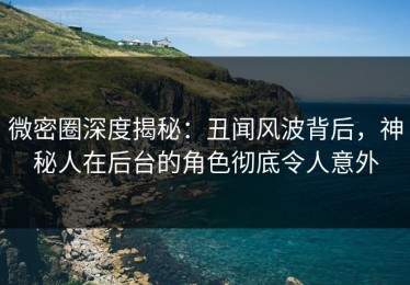微密圈深度揭秘：丑闻风波背后，神秘人在后台的角色彻底令人意外