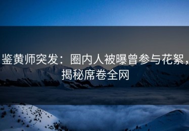 鉴黄师突发：圈内人被曝曾参与花絮，揭秘席卷全网