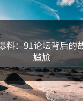 亲历者爆料：91论坛背后的故事令人尴尬