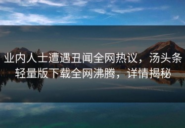 业内人士遭遇丑闻全网热议，汤头条轻量版下载全网沸腾，详情揭秘