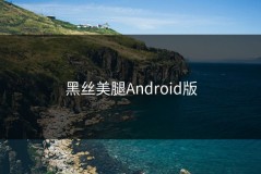 黑丝美腿Android版