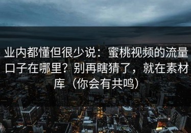 业内都懂但很少说：蜜桃视频的流量口子在哪里？别再瞎猜了，就在素材库（你会有共鸣）