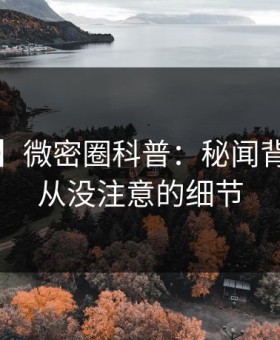 【紧急】微密圈科普：秘闻背后7个你从没注意的细节