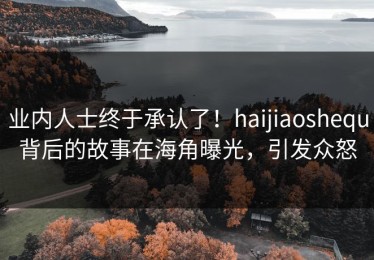 业内人士终于承认了！haijiaoshequ背后的故事在海角曝光，引发众怒