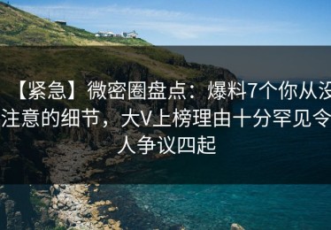 【紧急】微密圈盘点：爆料7个你从没注意的细节，大V上榜理由十分罕见令人争议四起