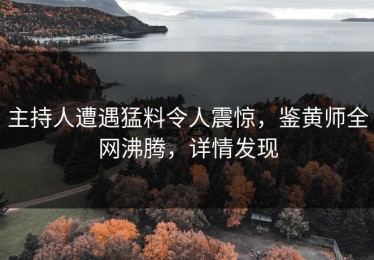 主持人遭遇猛料令人震惊，鉴黄师全网沸腾，详情发现