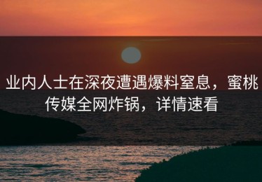 业内人士在深夜遭遇爆料窒息，蜜桃传媒全网炸锅，详情速看