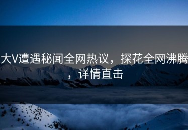 大V遭遇秘闻全网热议，探花全网沸腾，详情直击