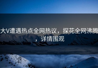 大V遭遇热点全网热议，探花全网沸腾，详情围观
