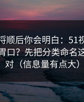 把逻辑捋顺后你会明白：51视频网站想更对胃口？先把分类命名这一步做对（信息量有点大）