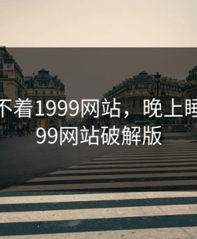 晚上睡不着1999网站，晚上睡不着1999网站破解版