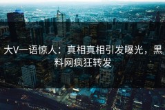 大V一语惊人：真相真相引发曝光，黑料网疯狂转发