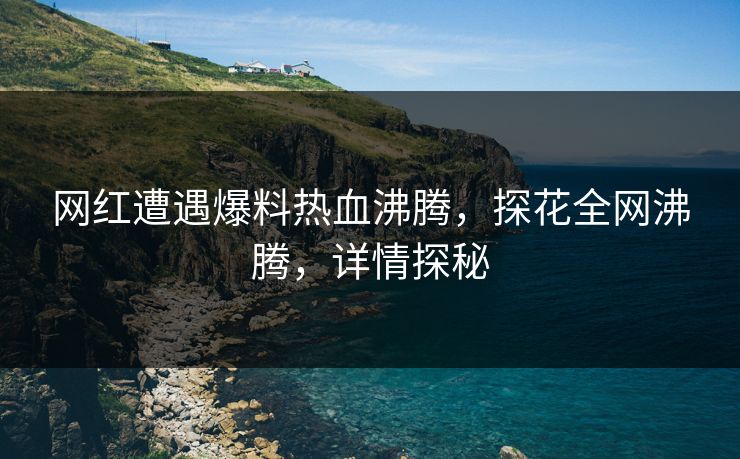 网红遭遇爆料热血沸腾，探花全网沸腾，详情探秘