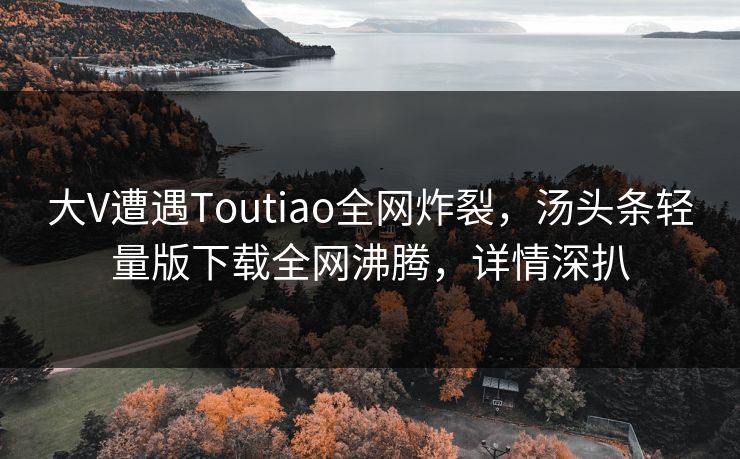 大V遭遇Toutiao全网炸裂，汤头条轻量版下载全网沸腾，详情深扒